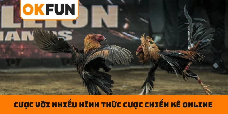 Đá Gà Trực Tiếp – Chọn Cửa Cược Tỉ Mĩ , Rinh Ngay Tiền Tỷ Tham gia cược với nhiều hình thức cược chiến kê online siêu hot